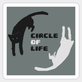 Circle Of Life Cats Sticker